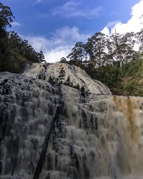 An Image of the Dip Falls waterfall in Tasmania taken from the lower look out.